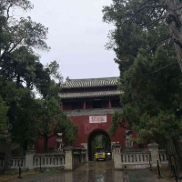 評論圖片 7
