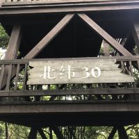 評論圖片 5