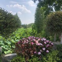 評論圖片 2