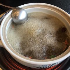 菌齐彩菇 User Photo