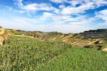 BI SHENG KE BAO DA DIAN