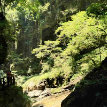 評論圖片 1