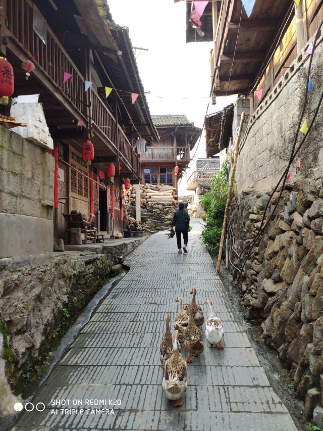 가오이고촌