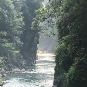 評論圖片 4