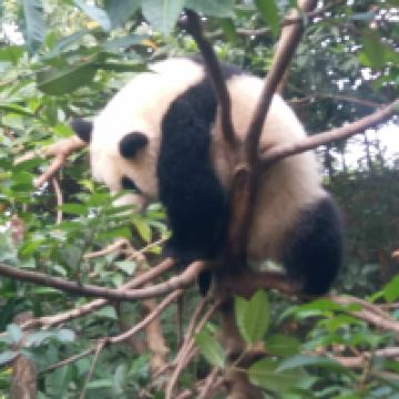 評論圖片 3