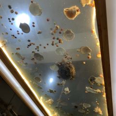 安吉人家·一鼎鲜土菜馆 User Photo
