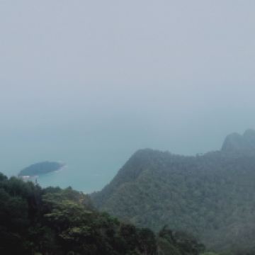 評論圖片 2