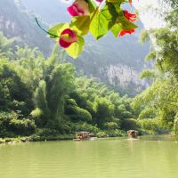 評論圖片 5