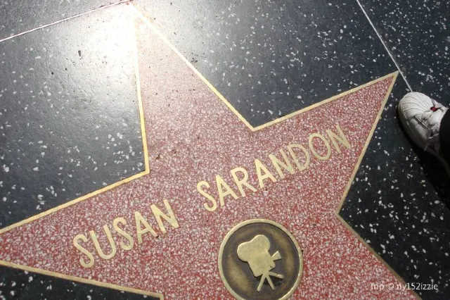 Hollywood Walk of Fame and Things to Do Nearby