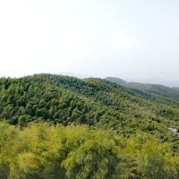 評論圖片 3