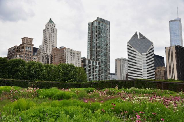 10 Fan Facts You May Not Know about The Bean Chicago