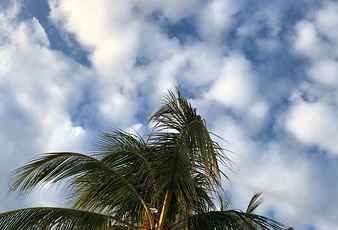 Breeze at The Samaya User Photo