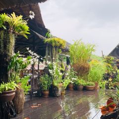 Natural Restaurant User Photo