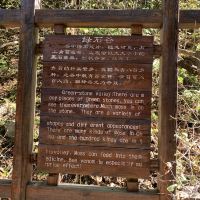 評論圖片 3