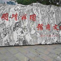 評論圖片 8