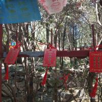 評論圖片 7