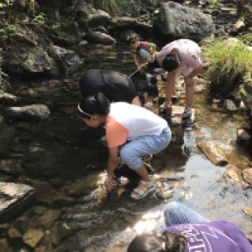 評論圖片 6