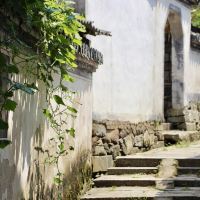 評論圖片 4