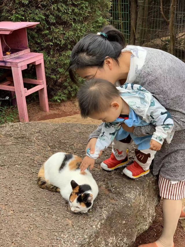 제주김녕미로공원