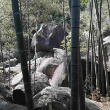評論圖片 6
