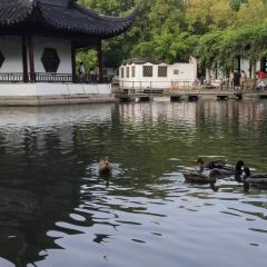 西园寺素食(西园弄戒幢律寺店) User Photo