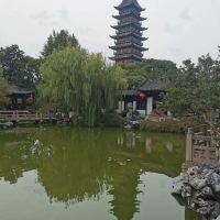 評論圖片 2