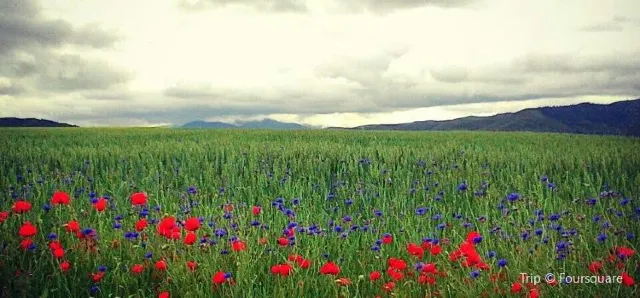 7 best Art Museums in Spain