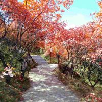 評論圖片 1