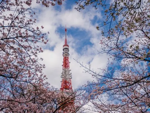 【四國自由行】行前必看!四國自由行景點、美食懶人包