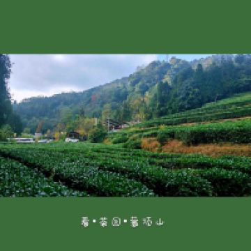 評論圖片 7