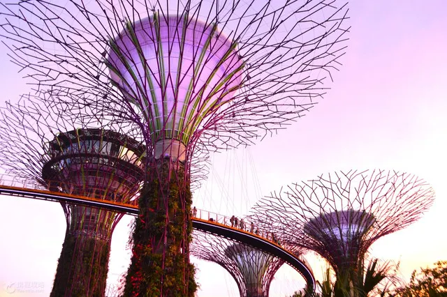 10 Must Visit Scenic Spots in Singapore