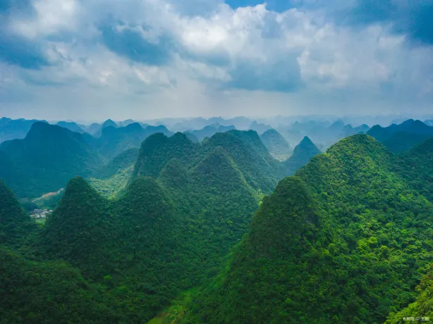 Maolan Karst Forest