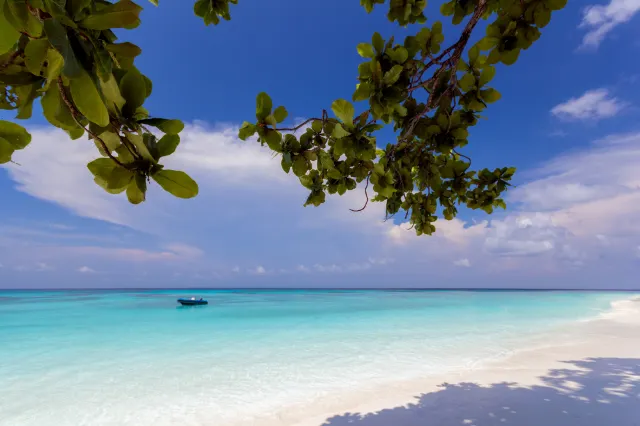 It's Only Open for a Few Months Each Year! Stunning Similan Islands!