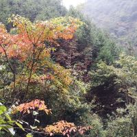 評論圖片 6