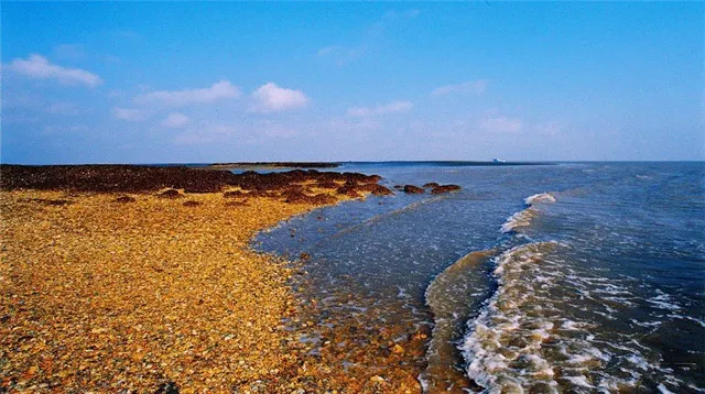 Looking to the Distance, One Can Spot the Beach Treads and Waves, And the Surrounding Area of Nantong is Close to Nature