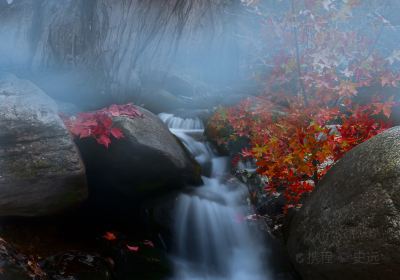 霧靈山