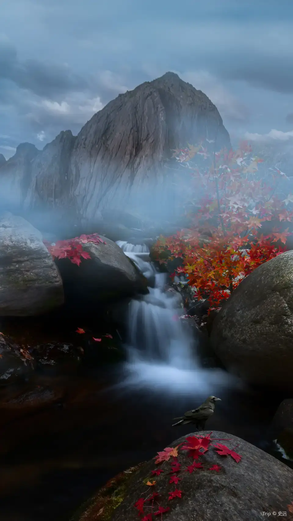 3_霧靈山