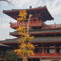 評論圖片 7
