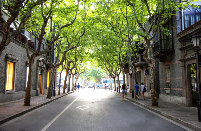 2020 上海観光スポット・穴場ベスト２０選