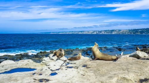 La Jolla Shores Park