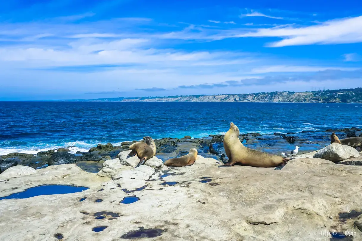 4_La Jolla Shores Park