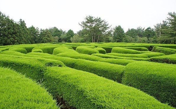 제주김녕미로공원