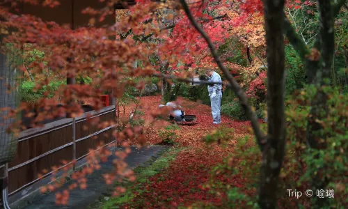 Saihō-ji (Koke-dera) Temple