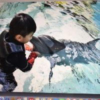 評論圖片 1