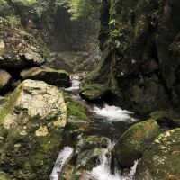 評論圖片 7