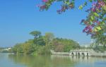 Hundred Flower Pond (Bai Hua Zhou)