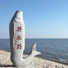 兴凯湖大力鱼馆 User Photo