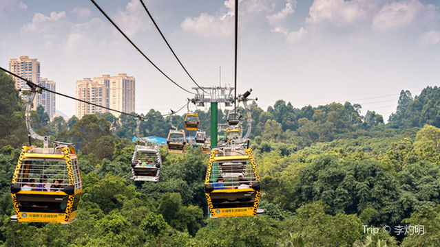 Cable Car
