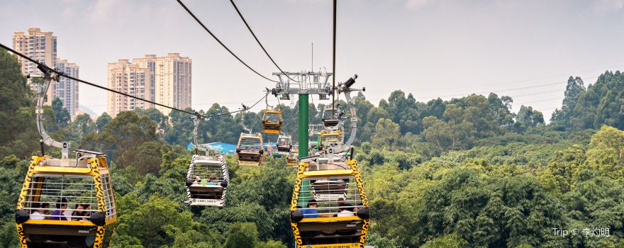 Cable Car