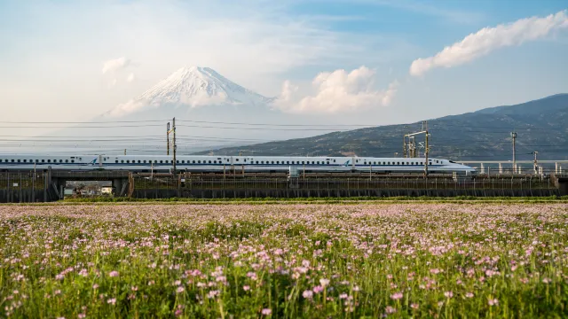 Tokyo to Osaka: How to Travel Cheap and Fast?